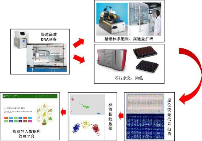 澳门特马_一键安装搞定PPT生成